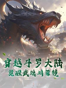 穿越到斗罗大陆觉醒武魂是硬币