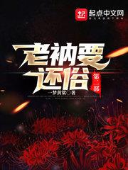 老衲要还俗后续