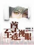 至尊透视王笔趣阁