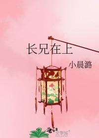 兄长在上全文免费