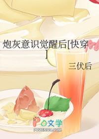 炮灰意思是什么