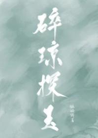 碎琼探玉全文免费阅读