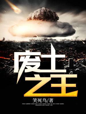 废土之王中文