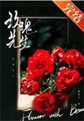 玫瑰先生歌词
