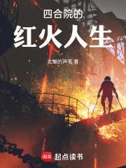 四合院的红火人生百度