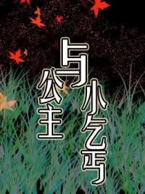 公主与小乞丐的故事 公主与小乞丐的故事