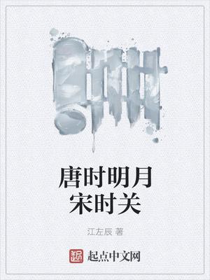 唐时明月宋时关选书
