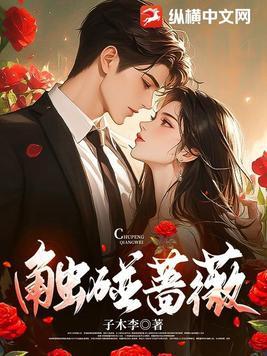 触碰蔷薇什么时候完结