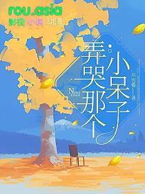 弄哭那个小呆子全文