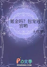 亲氪金吗包宠冠六宫哟免费