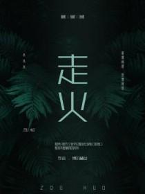 走火结局