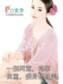 一别两宽放妻书全文翻译