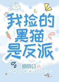 捡了只小黑猫