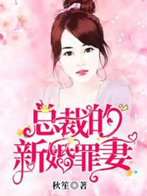 总裁的新婚罪妻免费阅读100章