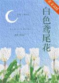 黄花鸢尾