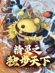 宝可梦z神