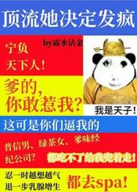 顶级流量(娱乐圈)