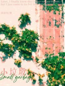 小辣椒