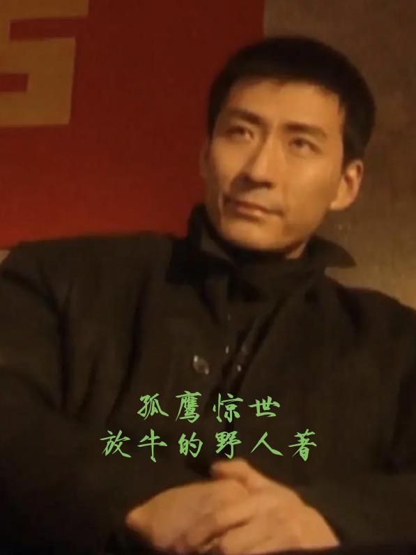 孤鹰第一部全文免费阅读