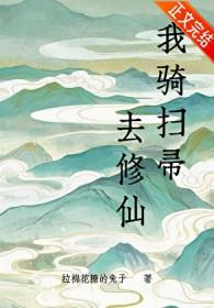 骑扫帚表情包