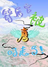 铲屎官铲屎官