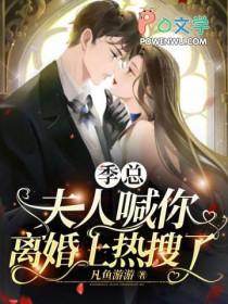 季先生离婚吧