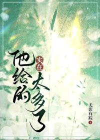 可他给的实在太多了