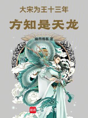 大宋为王十三年方知是天龙全文笔趣阁
