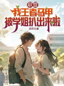 王者荣耀马甲什么意思