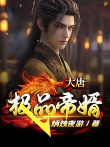 大唐极品女婿 大唐极品女婿