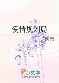 爱情计划是什么
