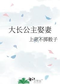 大长公主娶妻笔趣阁