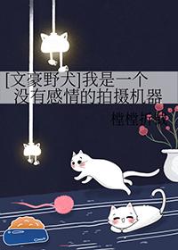 文豪野犬感觉没那么好看