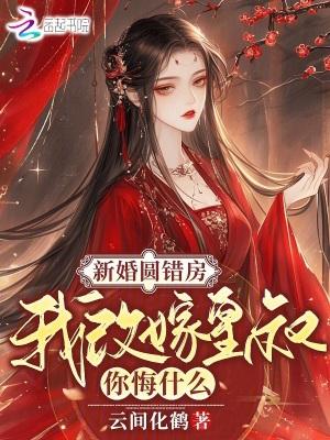 新婚圆错房