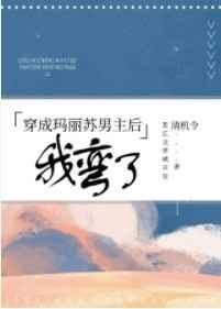 穿成玛丽苏文男主后我弯了讲的什么