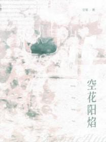 空花阳焰by空菊评论
