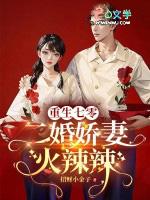 重生七零二婚嫁首长
