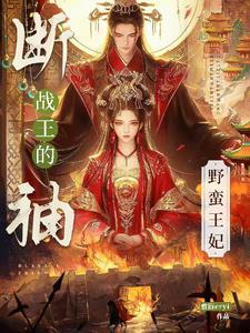 断袖王爷的穿越妃