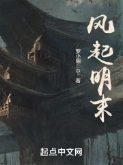 风起明末讲什么