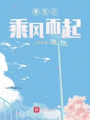 重生之乘风而起TXT百度资源