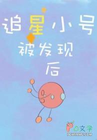 追星小号被发现后by我是七月讲的啥好看吗