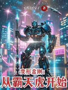 变形金刚合集3霸天虎的复仇书籍