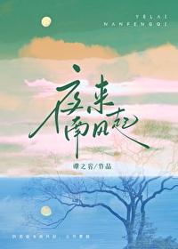 夜来南风起阿南