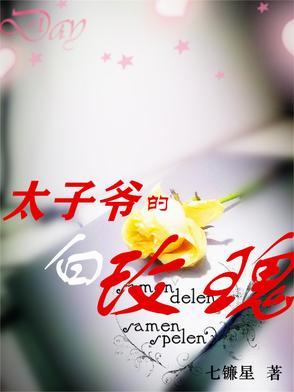 太子爷和小白花