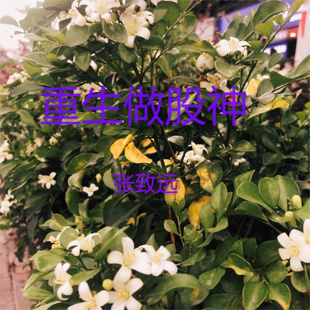 重生股神