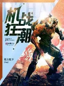 机战狂潮讲的是什么
