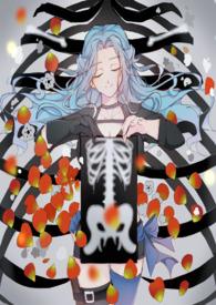 海贼王价格