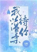 我以温柔待你晋江