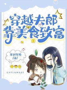 穿越之小夫郎 入骨相思完结