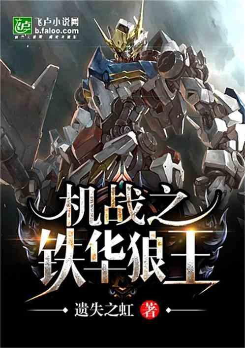 机战之铁华狼王飞卢